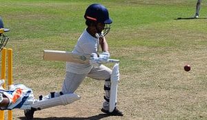Daily mail charity cricket