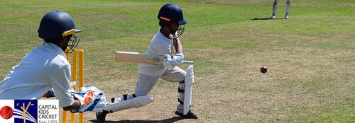 Daily mail charity cricket